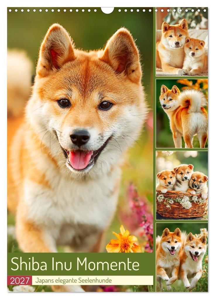 Shiba Inu Momente. Japans elegante Seelenhunde (Wandkalender 2027 DIN A3 hoch) CALVENDO Monatskalender