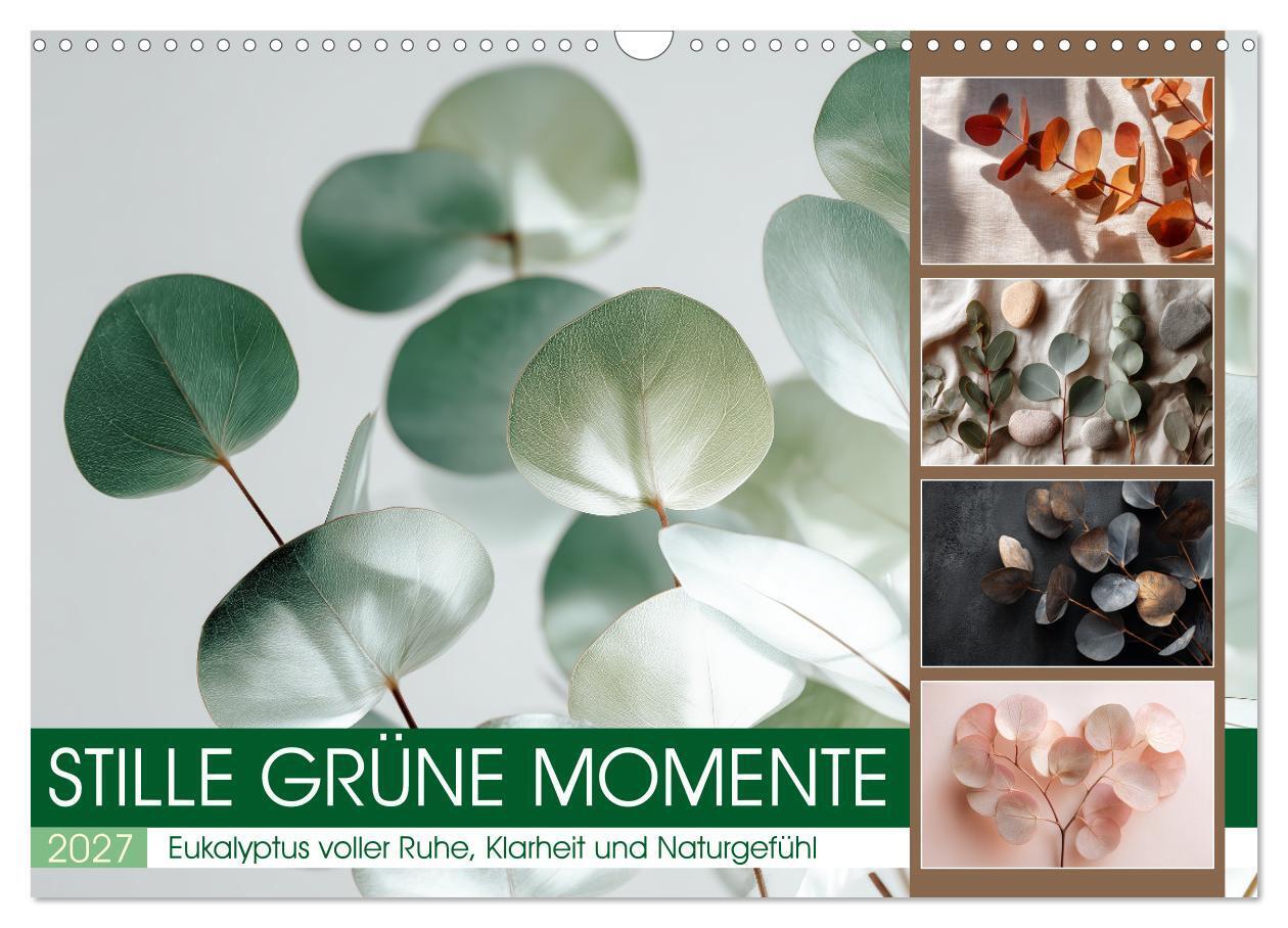 Stille Grüne Momente (Wandkalender 2027 DIN A3 quer) CALVENDO Monatskalender