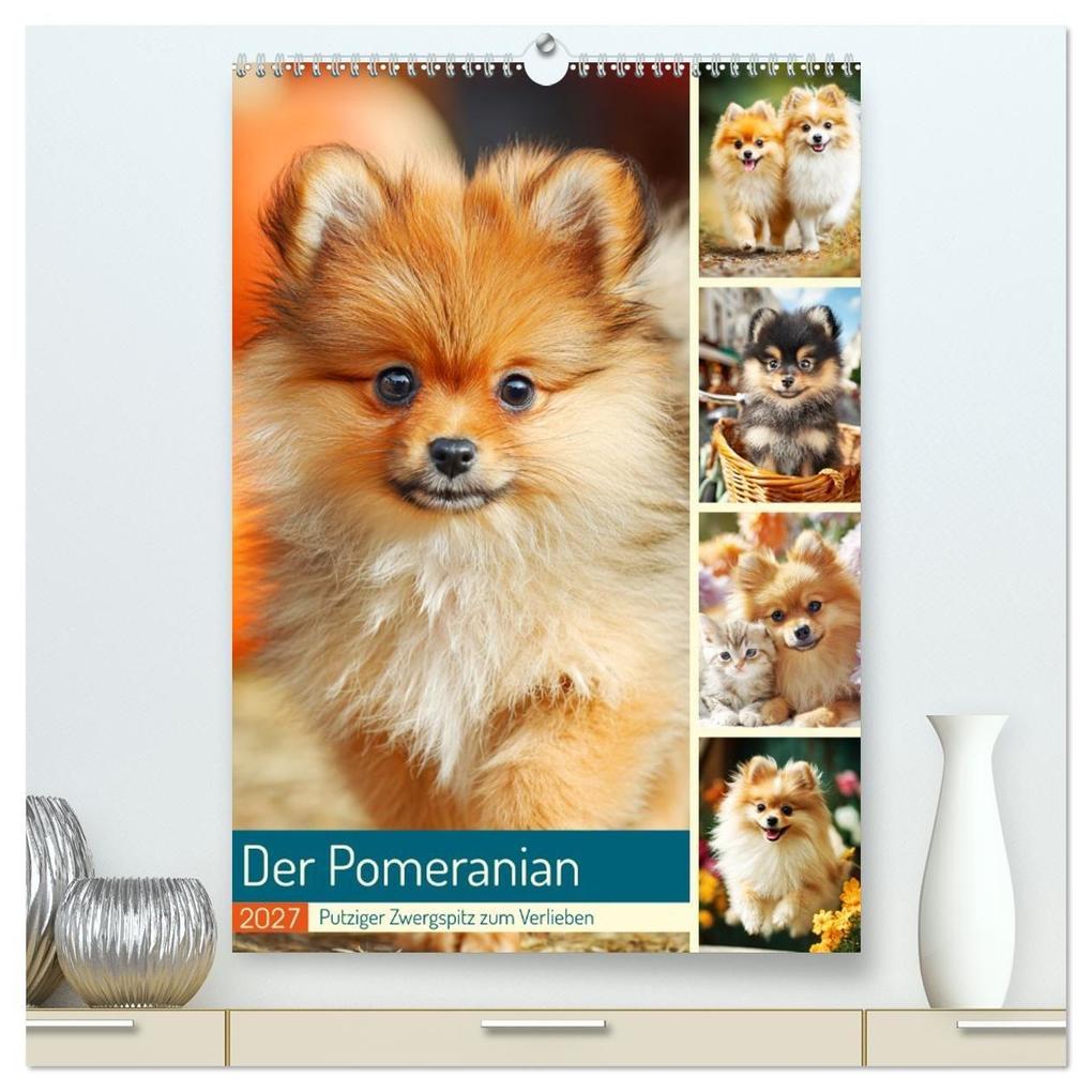 Der Pomeranian. Putziger Zwergspitz zum Verlieben (hochwertiger Premium Wandkalender 2027 DIN A2 hoch) Kunstdruck in Hochglanz