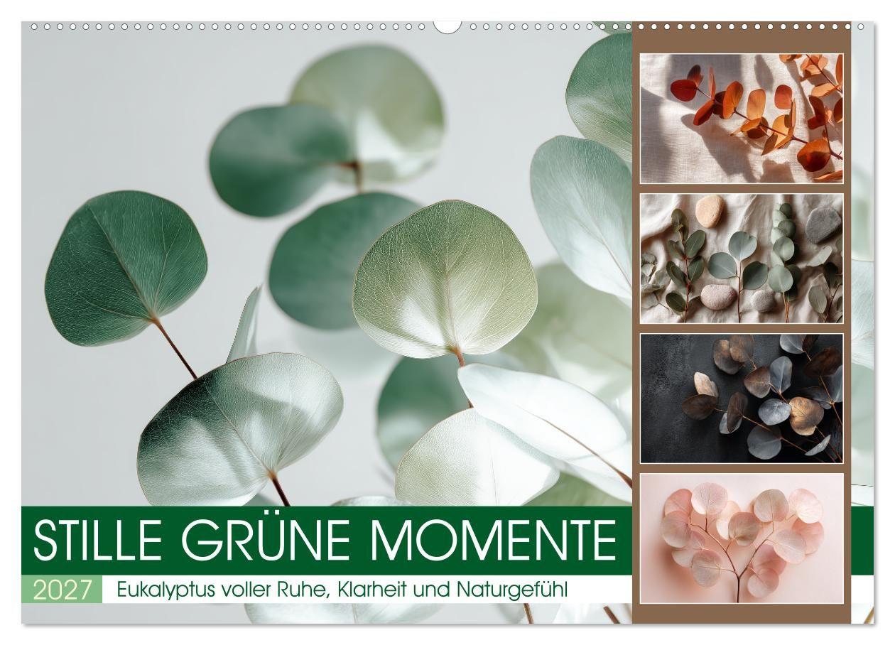 Stille Grüne Momente (Wandkalender 2027 DIN A2 quer) CALVENDO Monatskalender