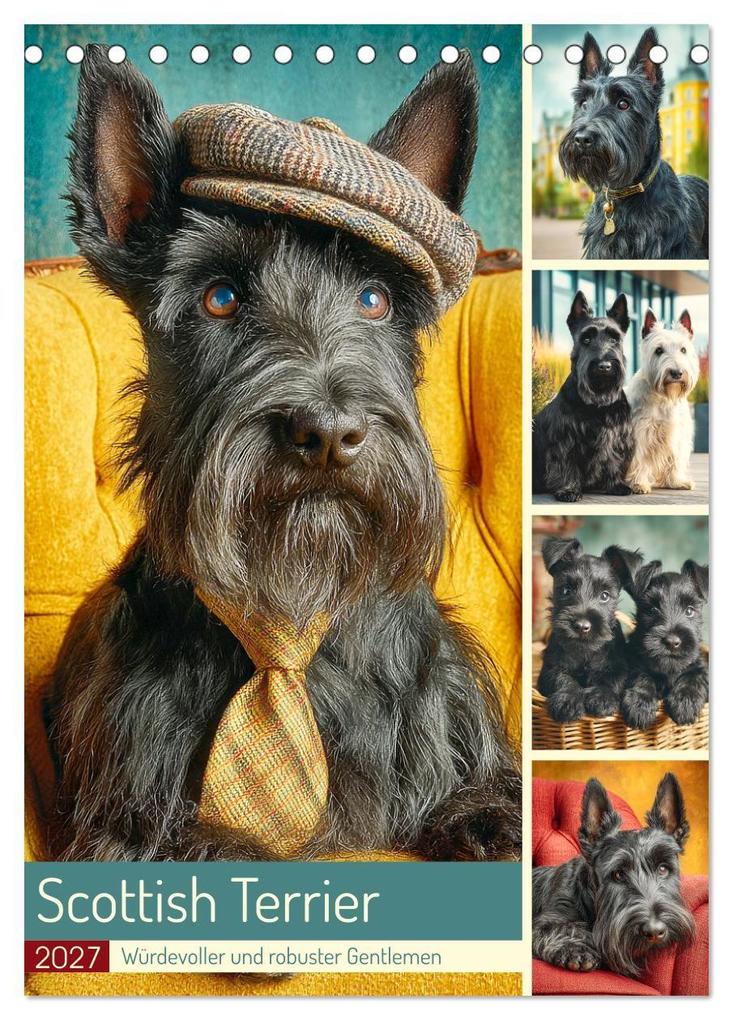 Scottish Terrier. Würdevoller und robuster Gentlemen (Tischkalender 2027 DIN A5 hoch) CALVENDO Monatskalender
