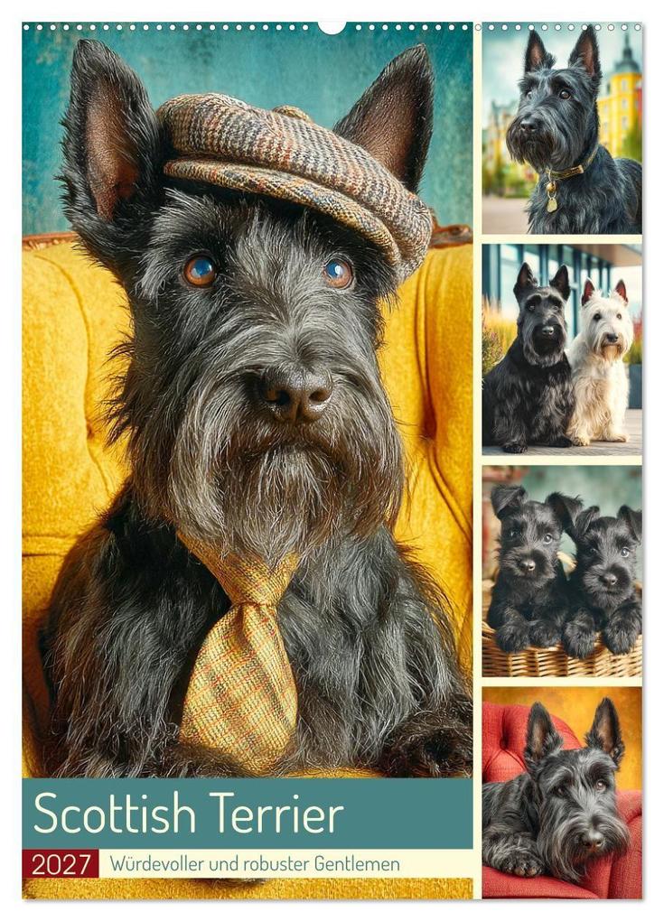 Scottish Terrier. Würdevoller und robuster Gentlemen (Wandkalender 2027 DIN A2 hoch) CALVENDO Monatskalender