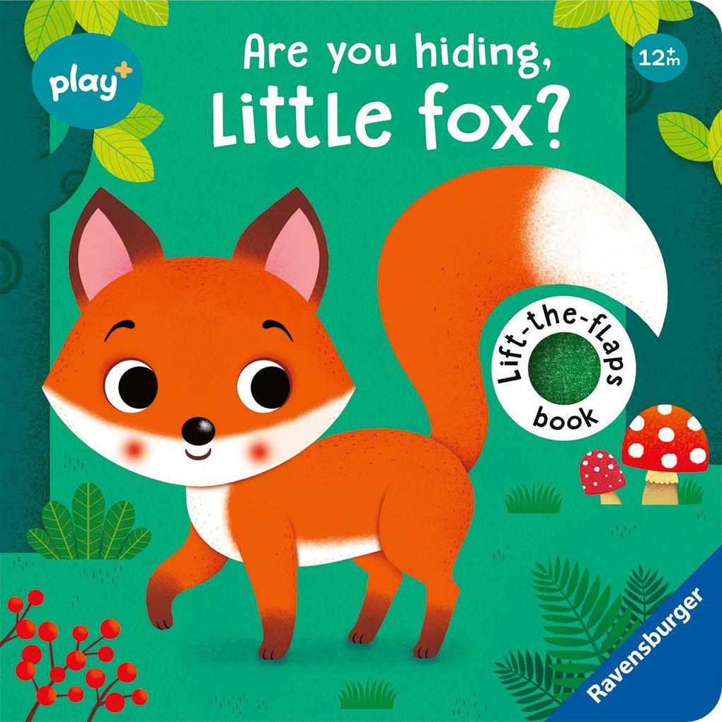Play+ Are you hiding little fox?