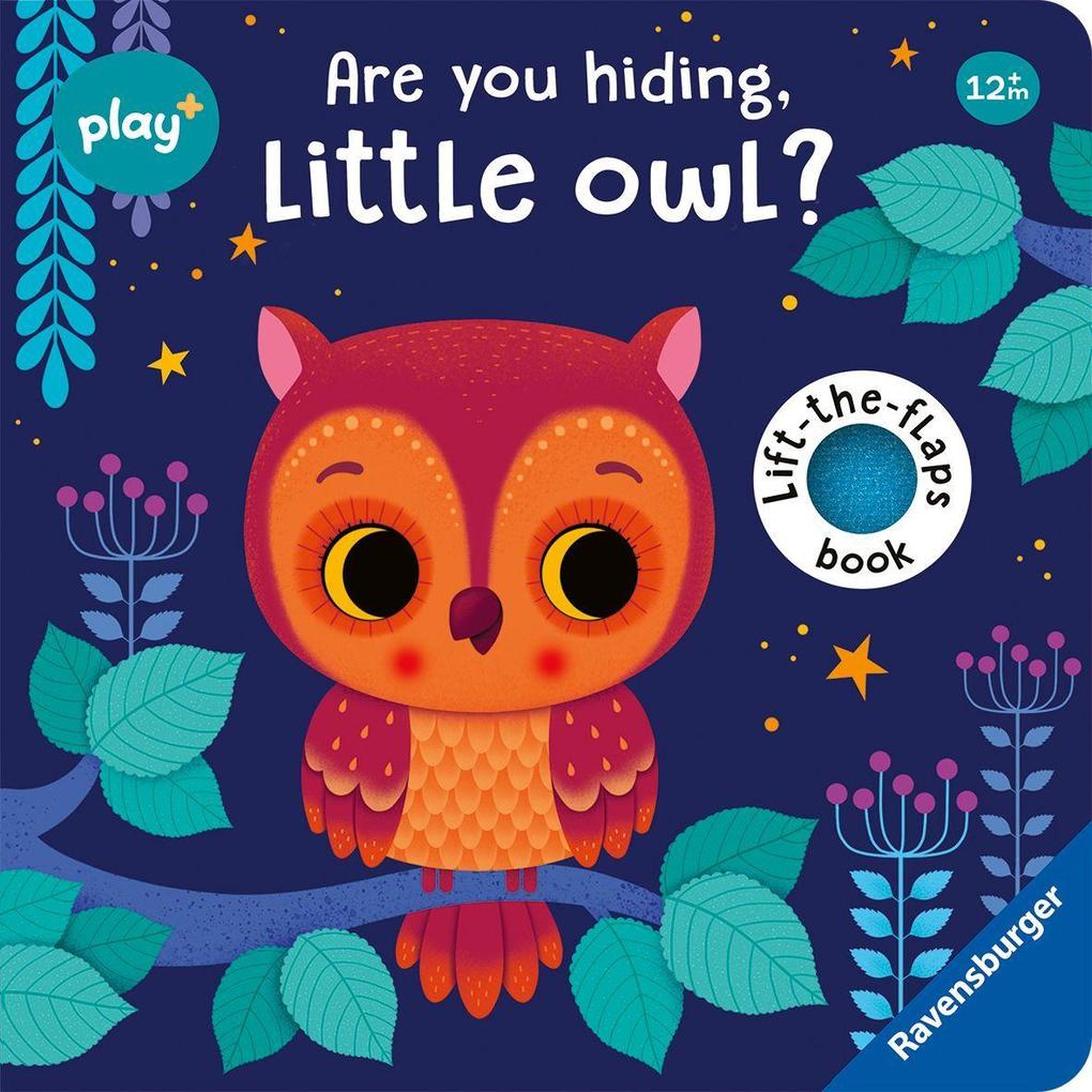 Play+ Are you hiding little owl?