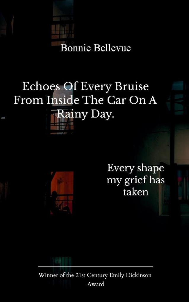 Echoes of every bruise from inside the car on a rainy day. Every shape my grief has taken