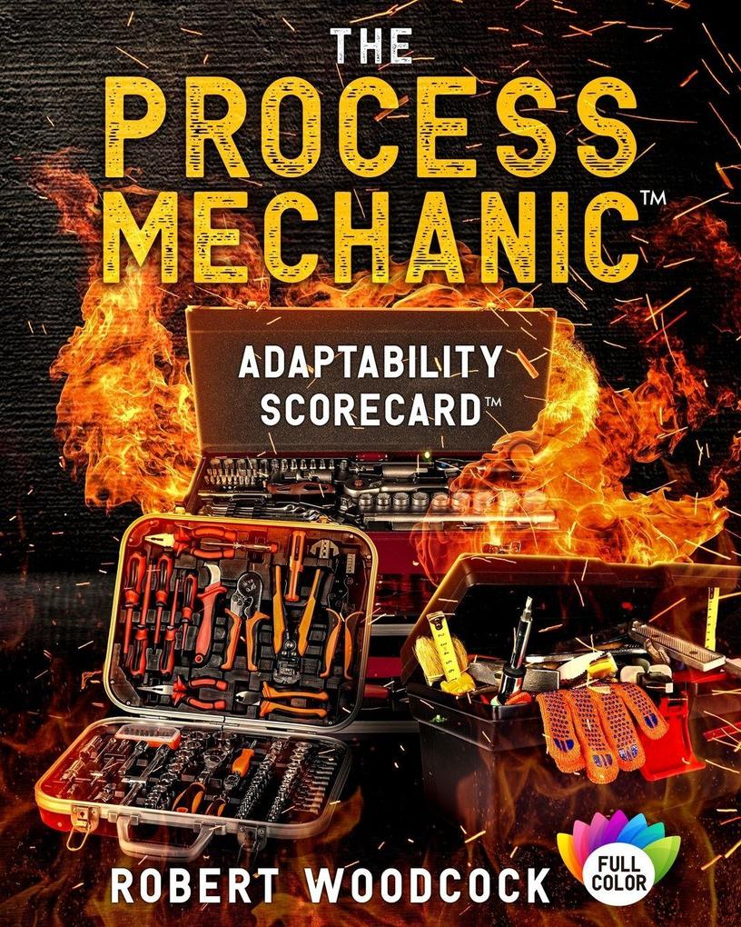The Process Mechanic(TM)