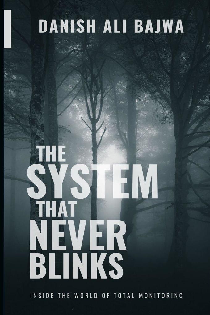 In The System That Never Blinks