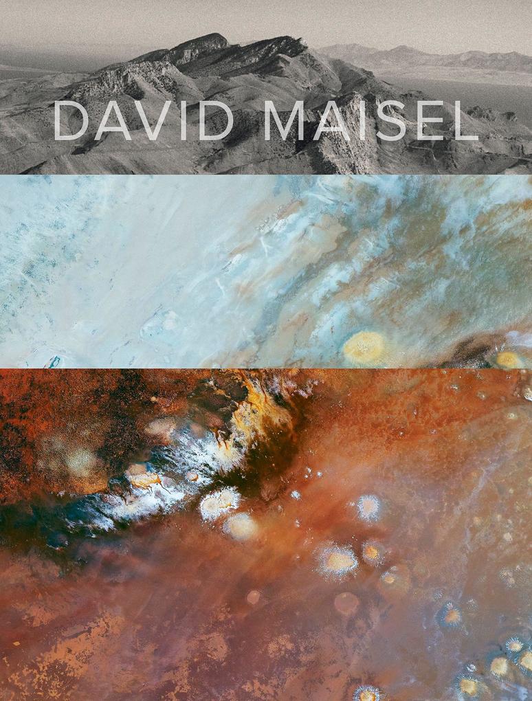 David Maisel: View from the Precipice