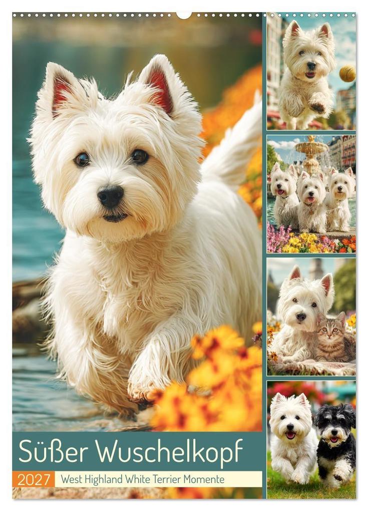 Süßer Wuschelkopf. West Highland White Terrier Momente (Wandkalender 2027 DIN A2 hoch) CALVENDO Monatskalender