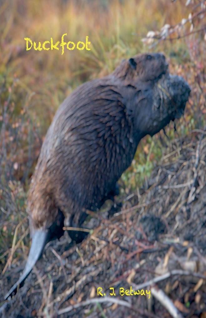 Duckfoot