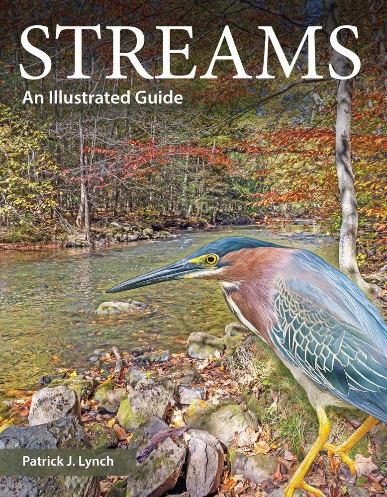 Streams
