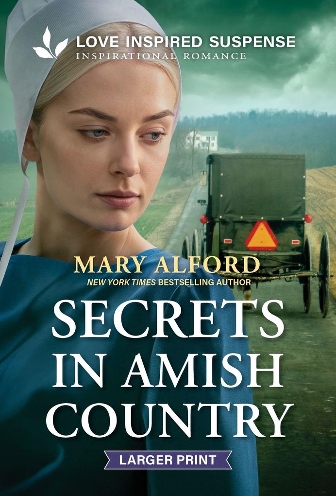 Secrets in Amish Country
