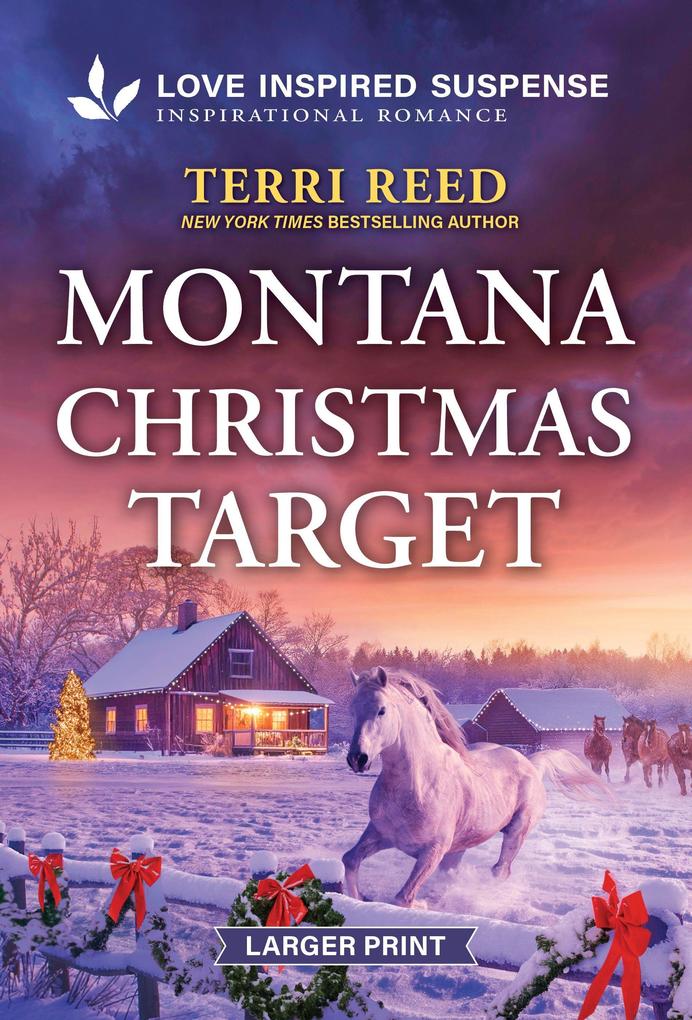 Montana Christmas Target