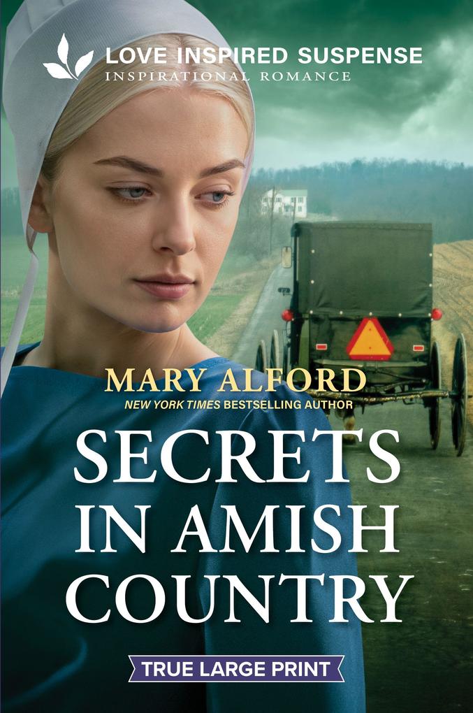 Secrets in Amish Country