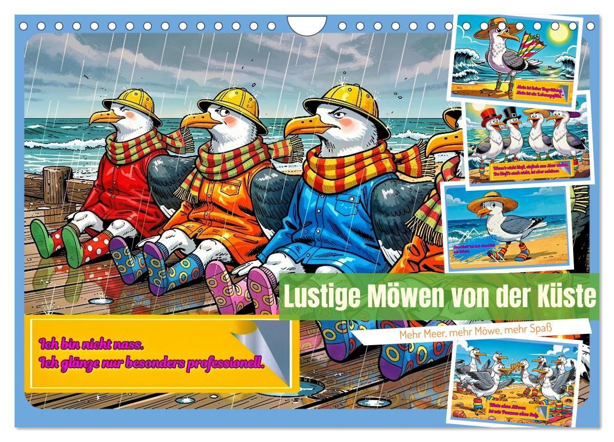 Lustige Möwen von der Küste (Wandkalender 2027 DIN A4 quer) CALVENDO Monatskalender