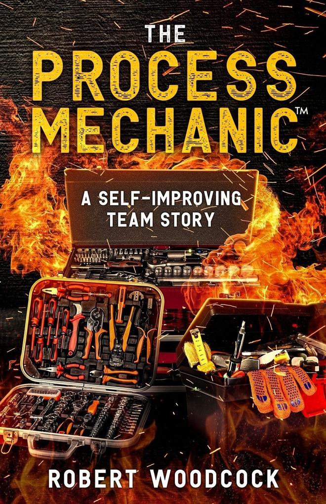 The Process Mechanic(TM)