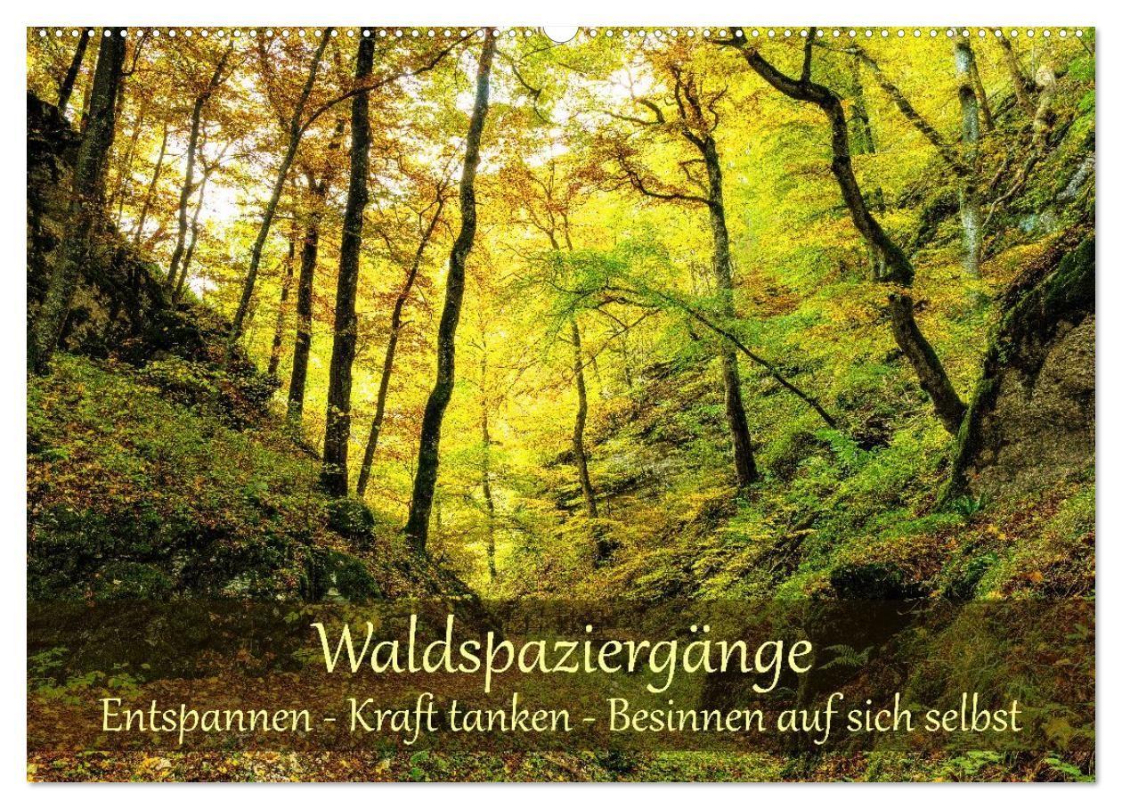 Waldspaziergänge: Entspannen - Kraft tanken - Besinnen auf sich selbst (Wandkalender 2027 DIN A2 quer) CALVENDO Monatskalender