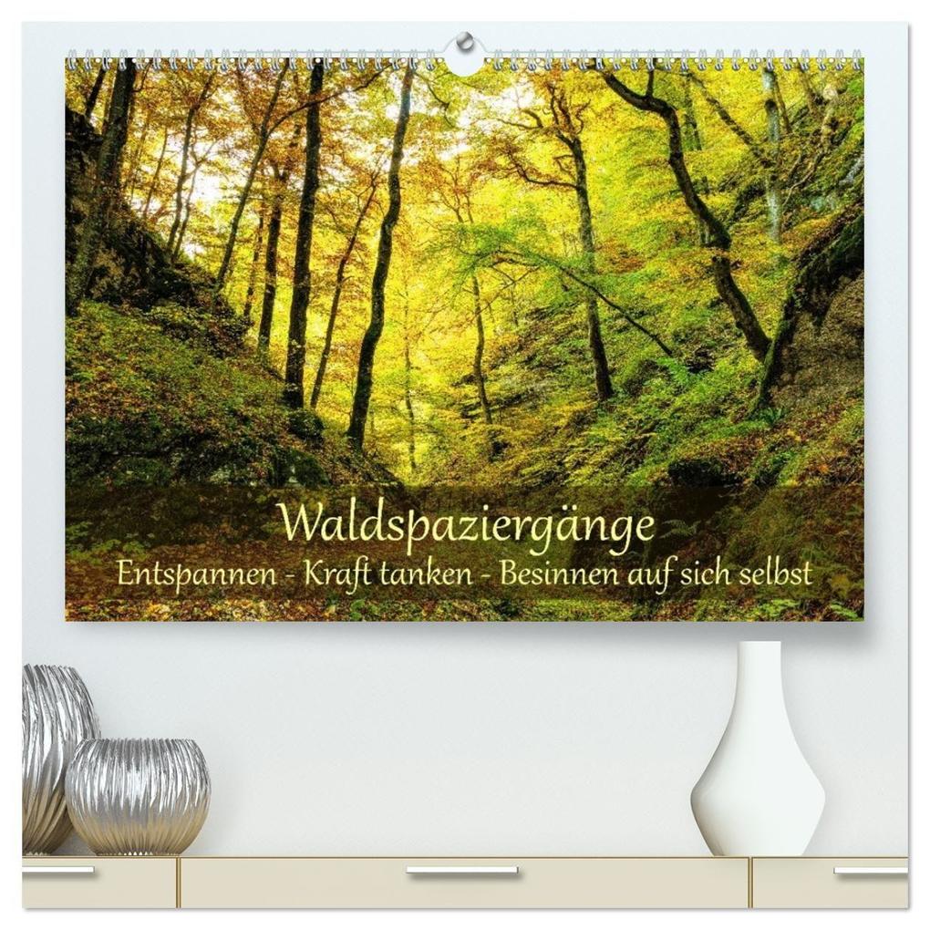 Waldspaziergänge: Entspannen - Kraft tanken - Besinnen auf sich selbst (hochwertiger Premium Wandkalender 2027 DIN A2 quer) Kunstdruck in Hochglanz