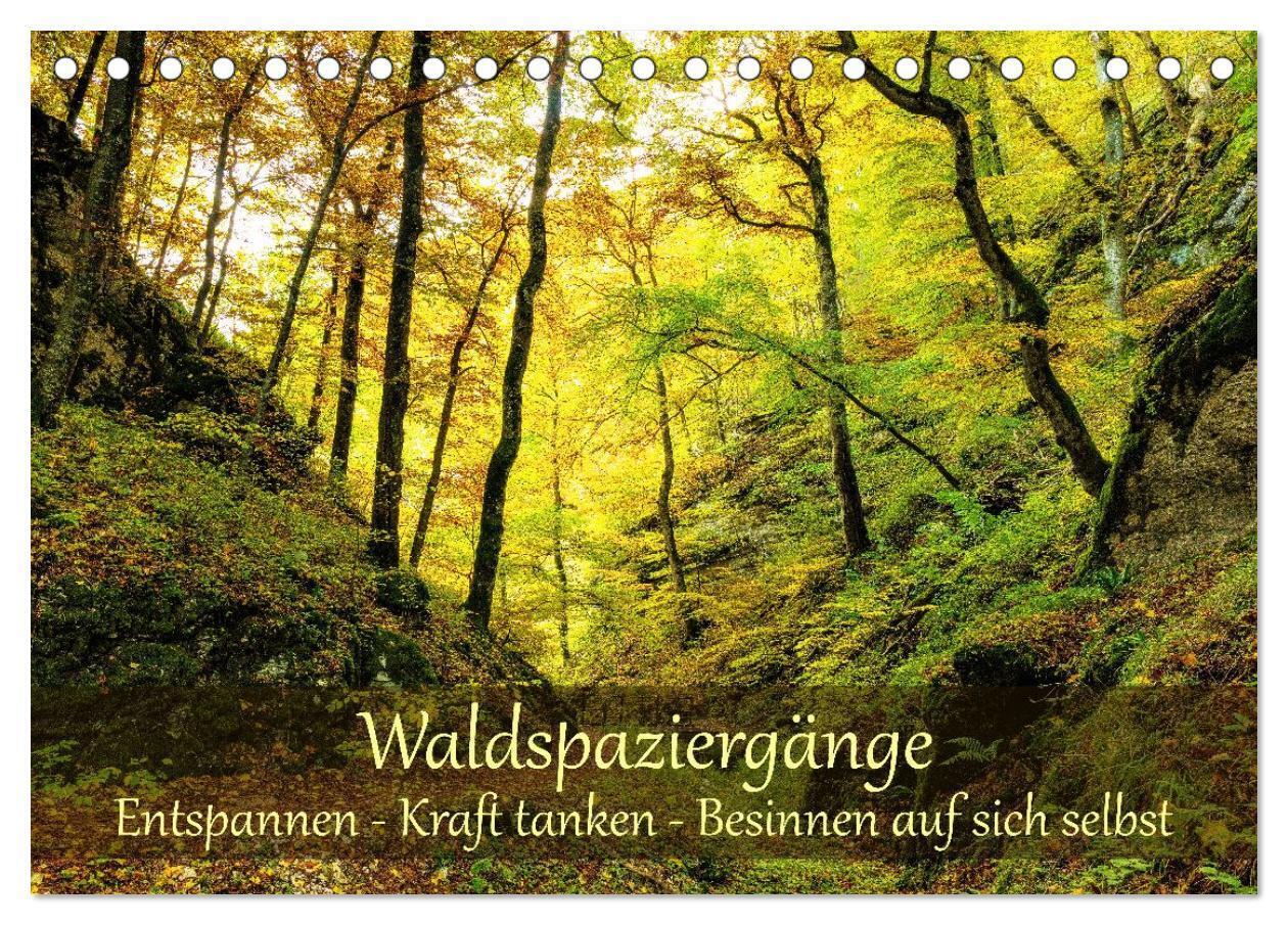 Waldspaziergänge: Entspannen - Kraft tanken - Besinnen auf sich selbst (Tischkalender 2027 DIN A5 quer) CALVENDO Monatskalender