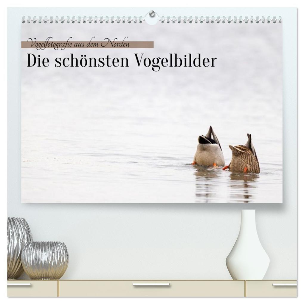 Vogelfotografie aus dem Norden (hochwertiger Premium Wandkalender 2027 DIN A2 quer) Kunstdruck in Hochglanz