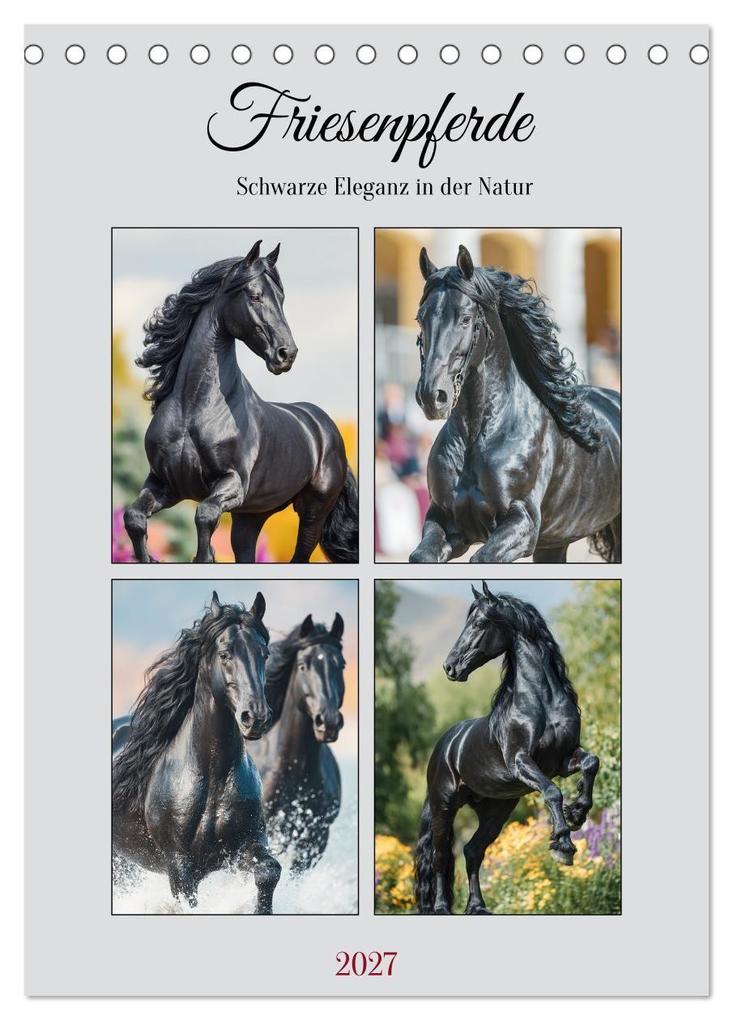Friesenpferde. Schwarze Eleganz in der Natur (Tischkalender 2027 DIN A5 hoch) CALVENDO Monatskalender