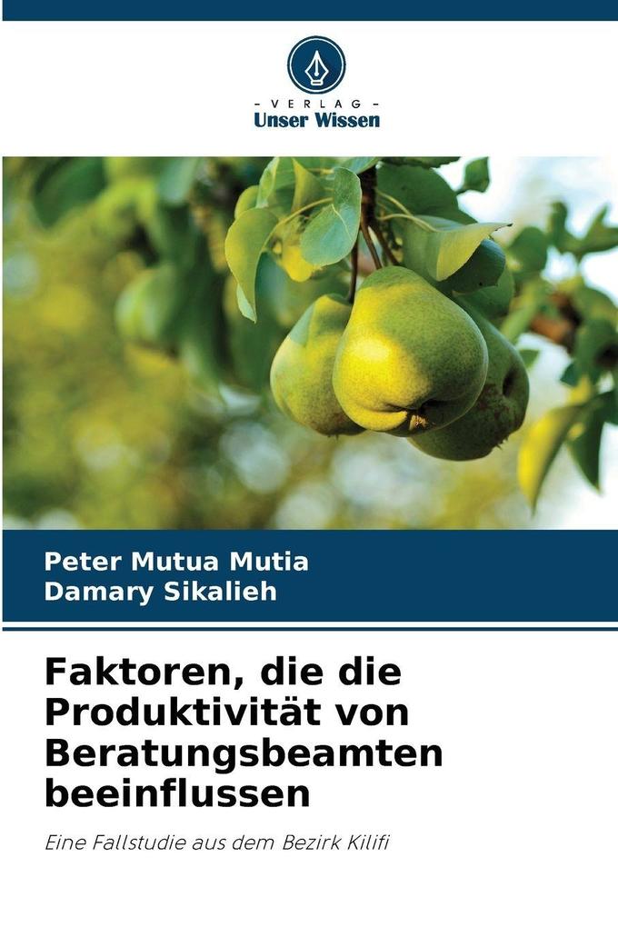 Faktoren die die Produktivität von Beratungsbeamten beeinflussen