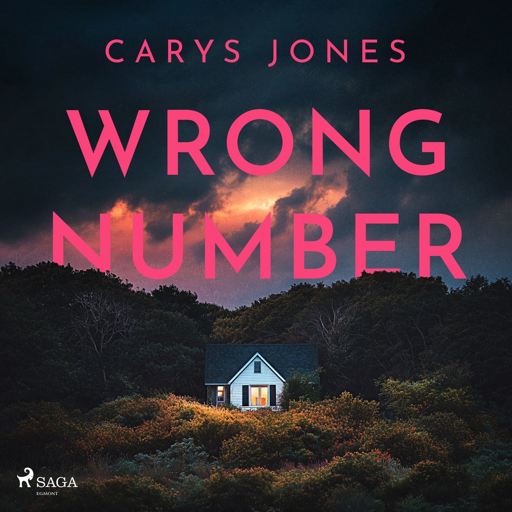 Wrong Number: A gripping suspense-filled psychological thriller
