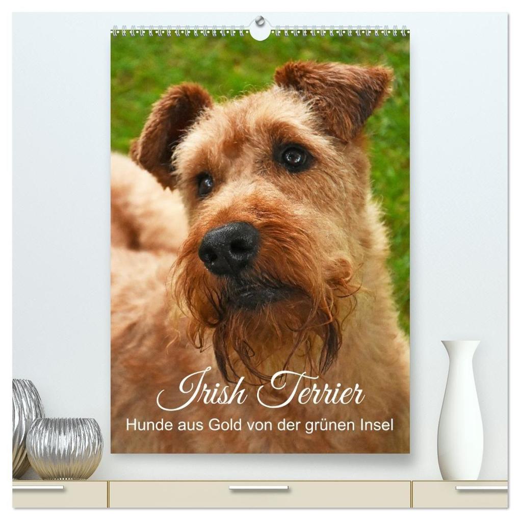 Irish Terrier - Hunde aus Gold von der grünen Insel (hochwertiger Premium Wandkalender 2027 DIN A2 hoch) Kunstdruck in Hochglanz
