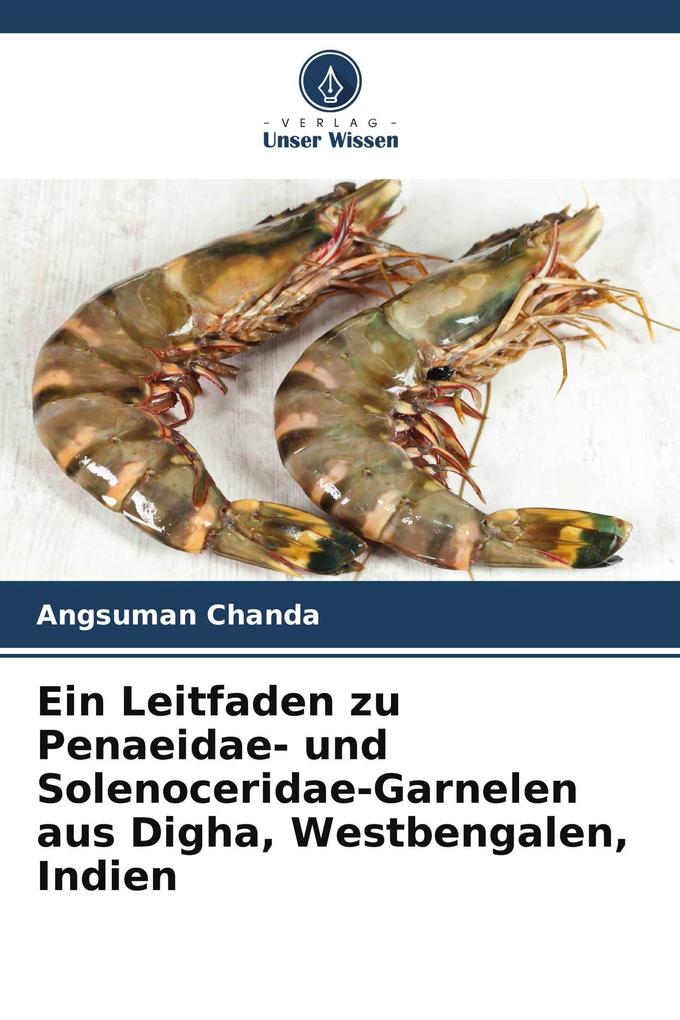 Ein Leitfaden zu Penaeidae- und Solenoceridae-Garnelen aus Digha Westbengalen Indien