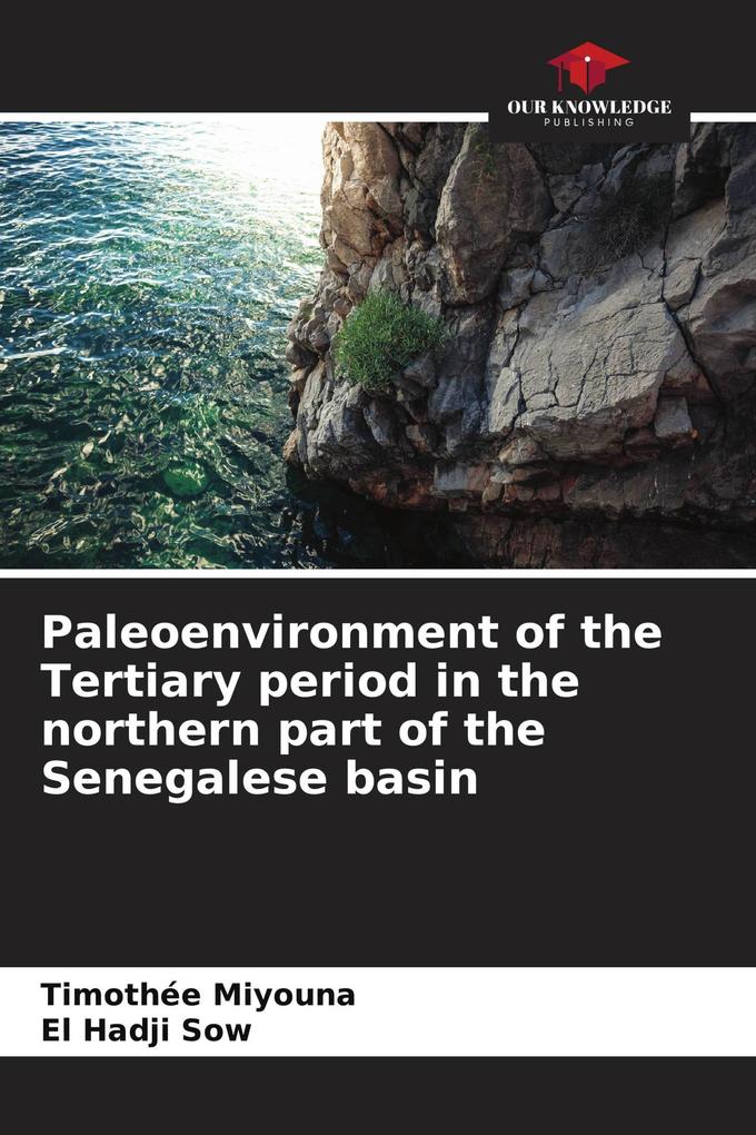 Paleoenvironment of the Tertiary period in the northern part of the Senegalese basin