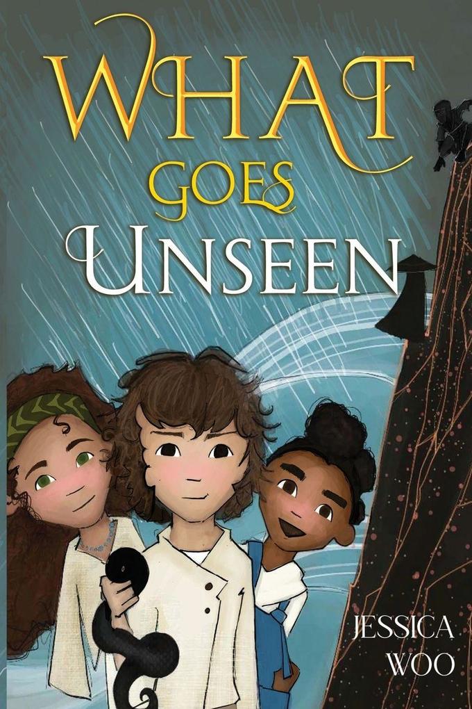What Goes Unseen