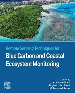 Remote Sensing Techniques for Blue Carbon and Coastal Ecosystem Monitoring