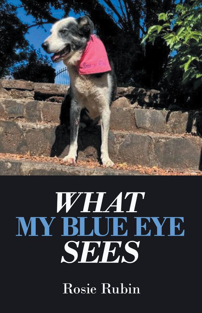 WHAT MY BLUE EYE SEES
