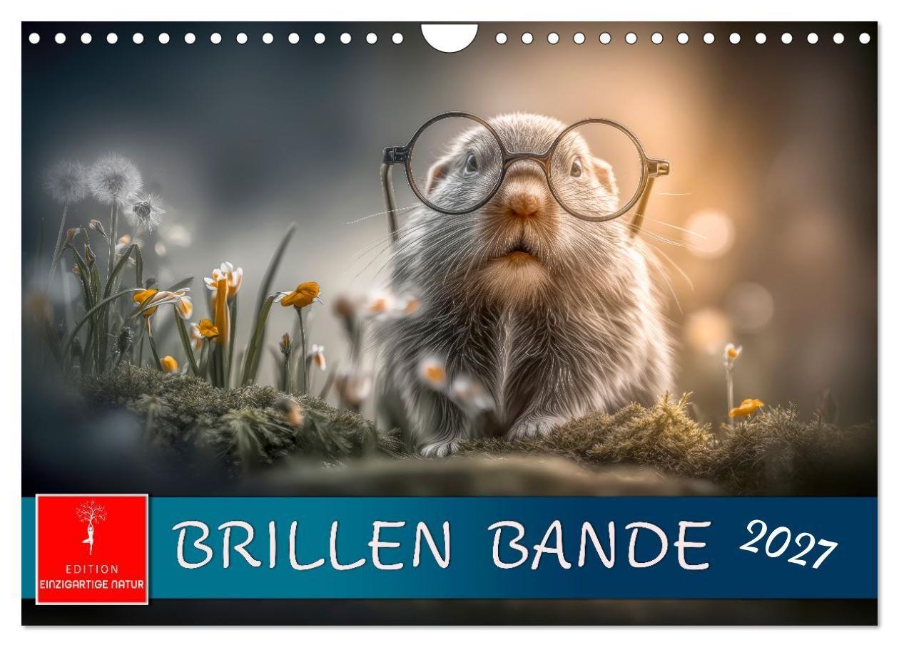 Brillen Bande (Wandkalender 2027 DIN A4 quer) CALVENDO Monatskalender