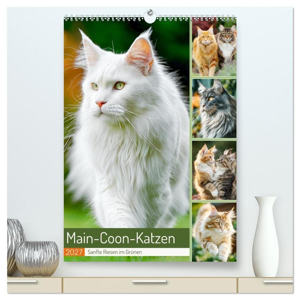 Main-Coon-Katzen. Sanfte Riesen im Grünen (hochwertiger Premium Wandkalender 2027 DIN A2 hoch) Kunstdruck in Hochglanz