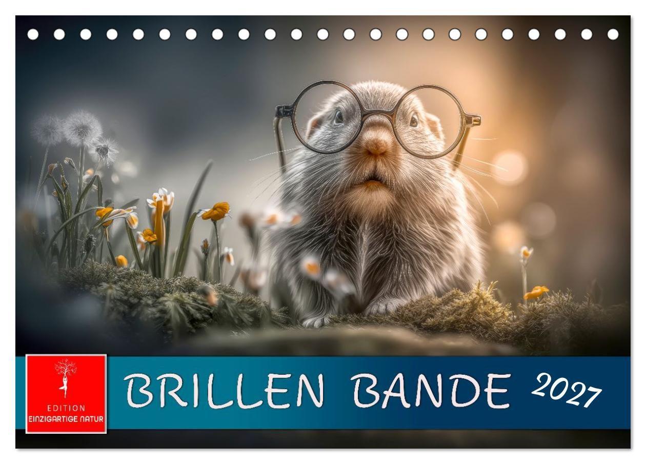 Brillen Bande (Tischkalender 2027 DIN A5 quer) CALVENDO Monatskalender