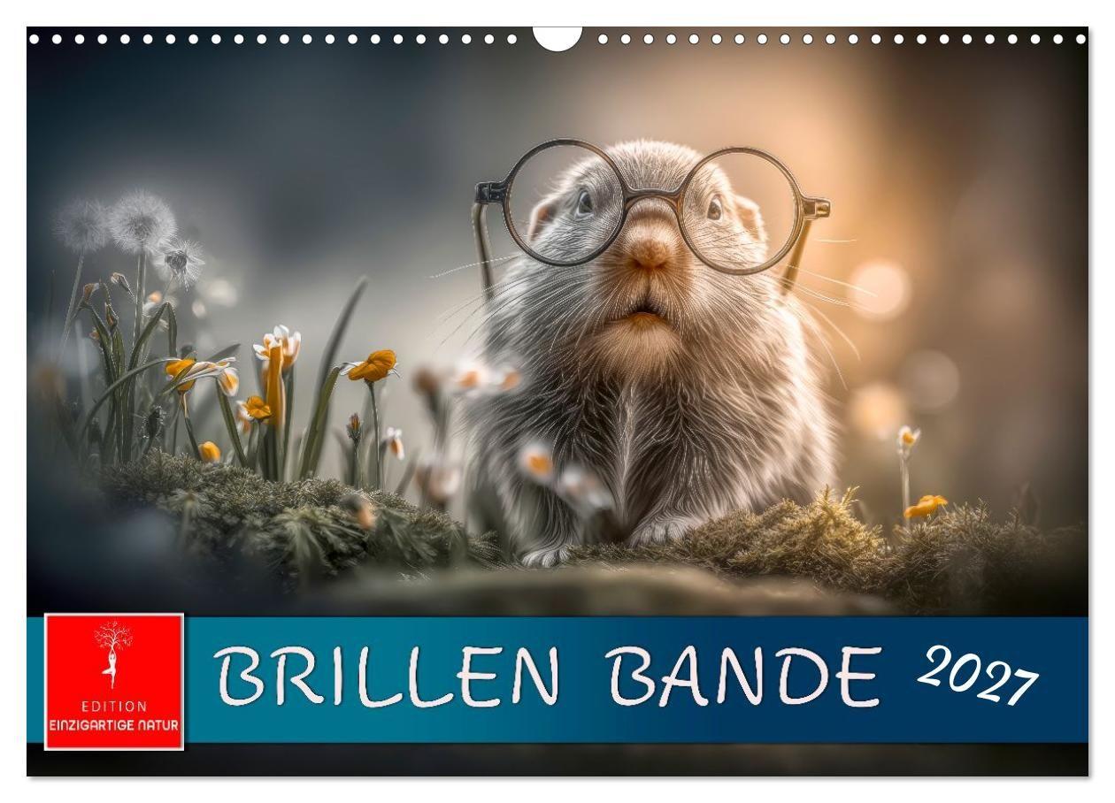 Brillen Bande (Wandkalender 2027 DIN A3 quer) CALVENDO Monatskalender