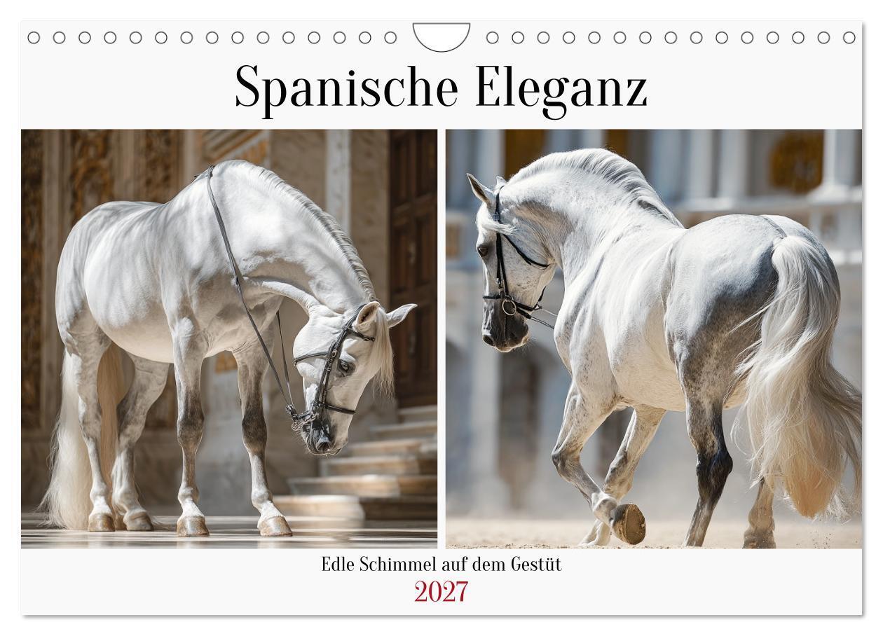 Spanische Eleganz. Edle Schimmel auf dem Gestüt (Wandkalender 2027 DIN A4 quer) CALVENDO Monatskalender
