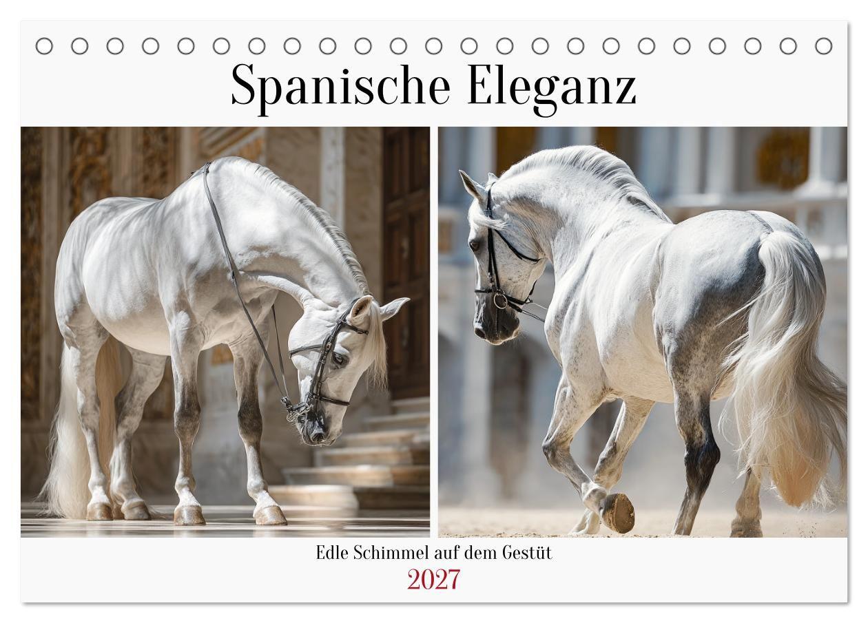 Spanische Eleganz. Edle Schimmel auf dem Gestüt (Tischkalender 2027 DIN A5 quer) CALVENDO Monatskalender