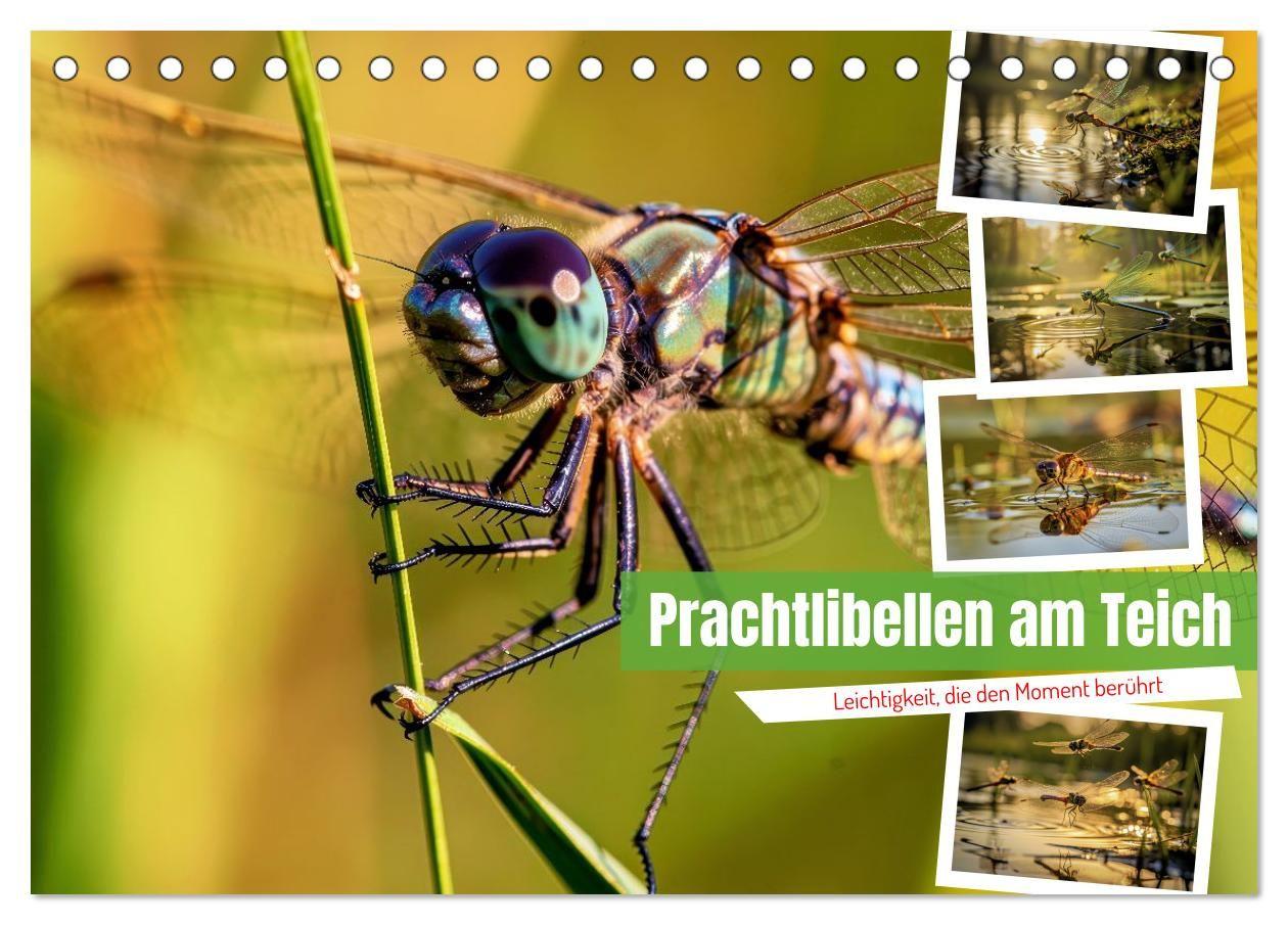 Prachtlibellen am Teich (Tischkalender 2027 DIN A5 quer) CALVENDO Monatskalender