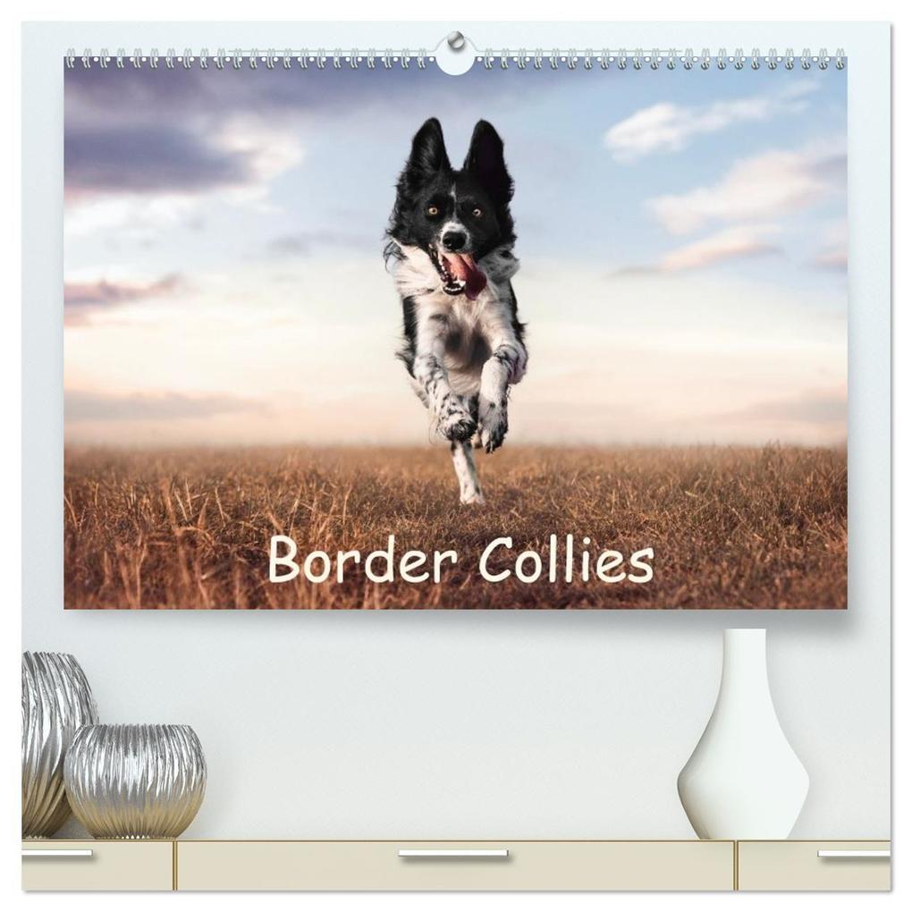 Border Collie Kalender - Ausdrucksstarke Close-up-Portraits durch die Jahreszeiten (hochwertiger Premium Wandkalender 2027 DIN A2 quer) Kunstdruck in Hochglanz