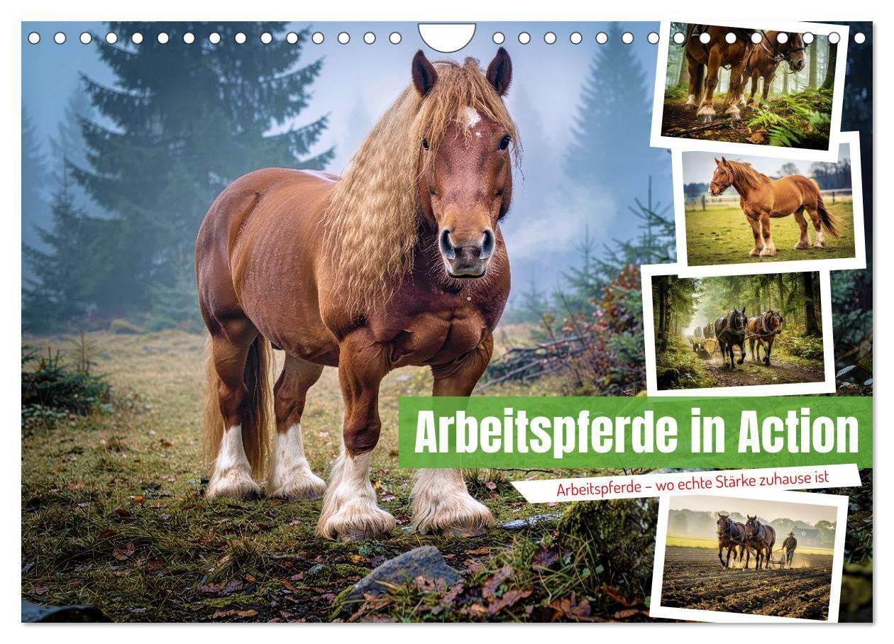 Arbeitspferde in Action (Wandkalender 2027 DIN A4 quer) CALVENDO Monatskalender
