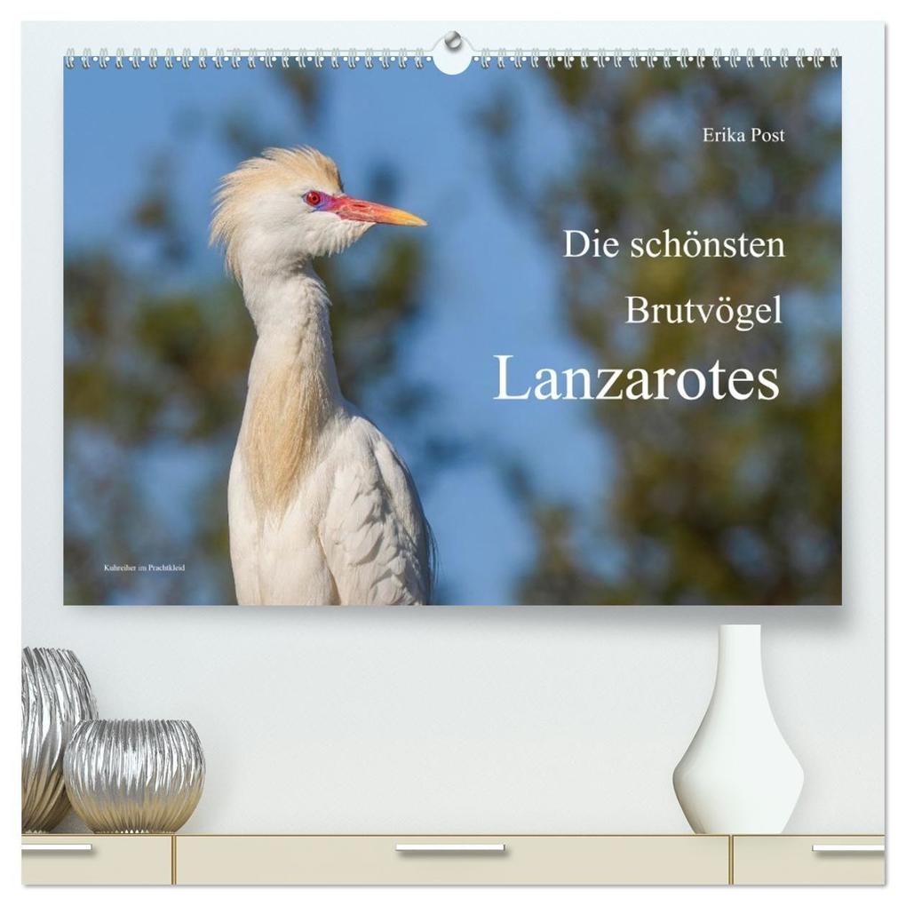 Die schönsten Brutvögel Lanzarotes (hochwertiger Premium Wandkalender 2027 DIN A2 quer) Kunstdruck in Hochglanz