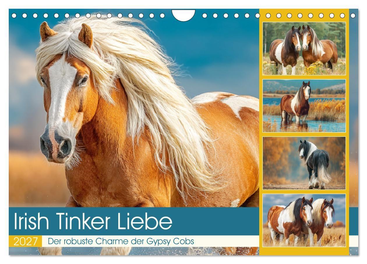 Irish Tinker Liebe. Der robuste Charme der Gypsy Cobs (Wandkalender 2027 DIN A4 quer) CALVENDO Monatskalender