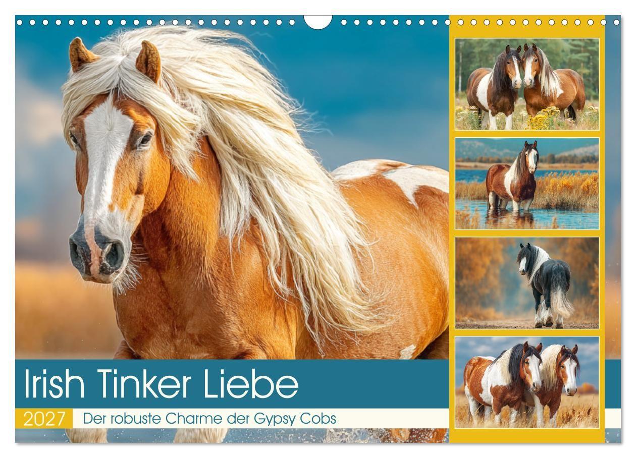 Irish Tinker Liebe. Der robuste Charme der Gypsy Cobs (Wandkalender 2027 DIN A3 quer) CALVENDO Monatskalender