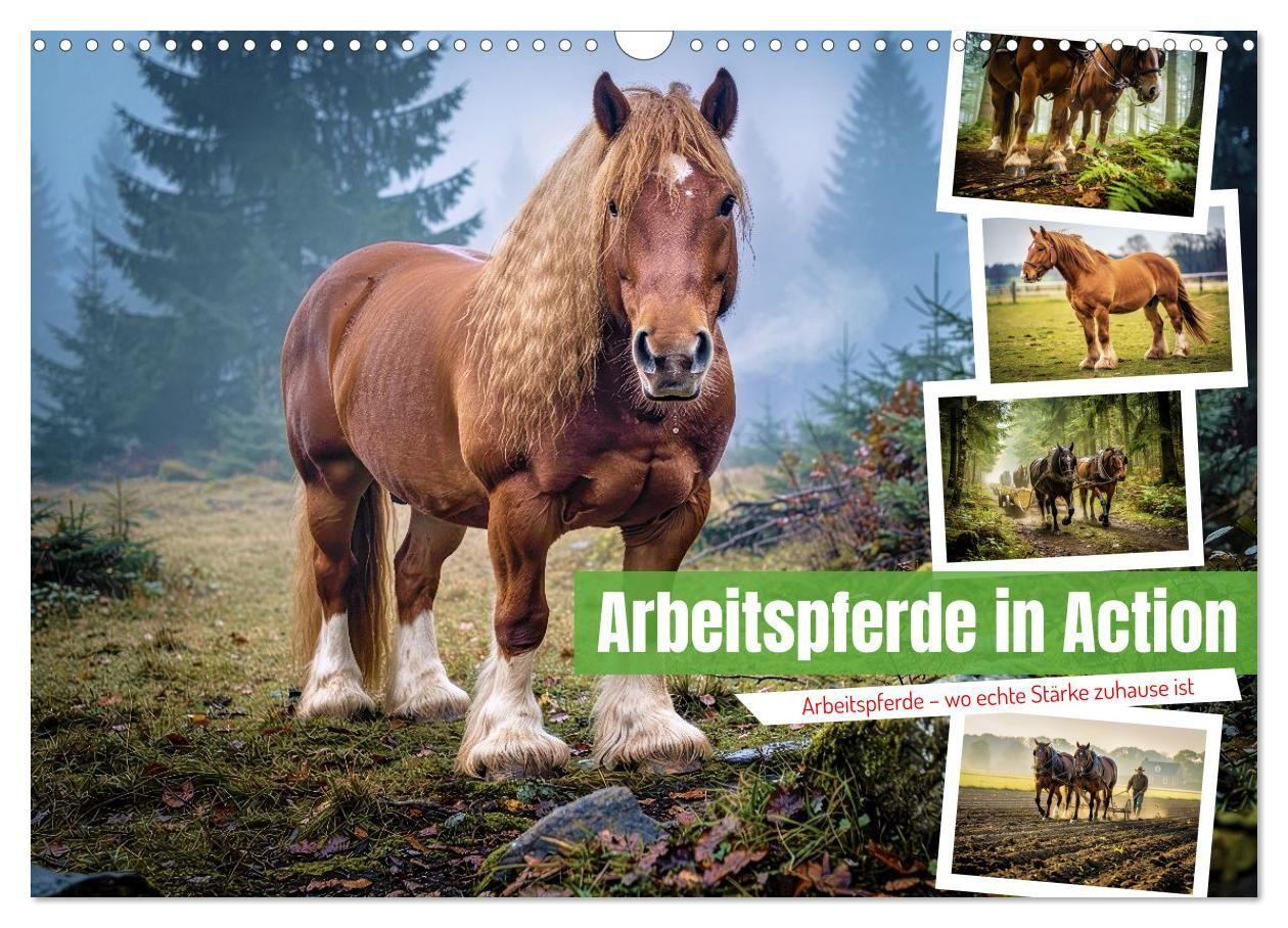 Arbeitspferde in Action (Wandkalender 2027 DIN A3 quer) CALVENDO Monatskalender