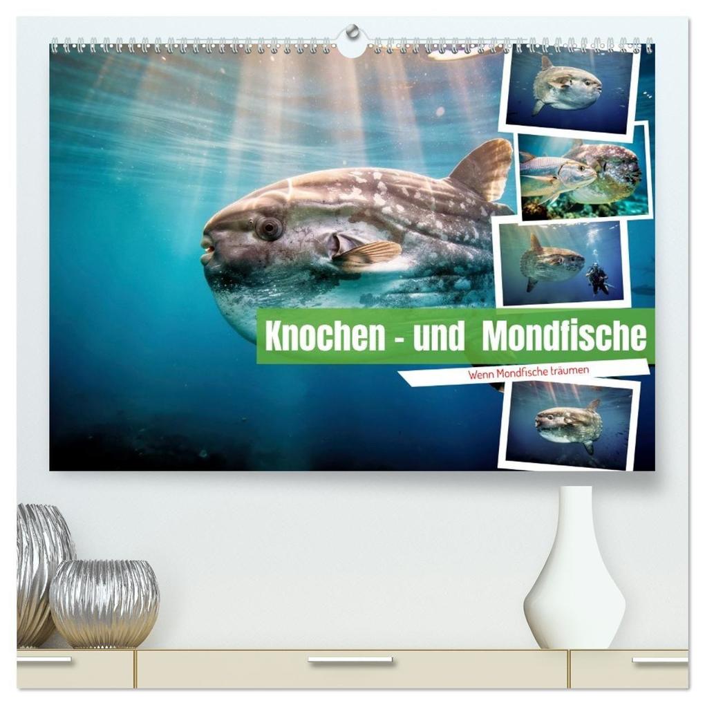 Knochen - und Mondfische (hochwertiger Premium Wandkalender 2027 DIN A2 quer) Kunstdruck in Hochglanz