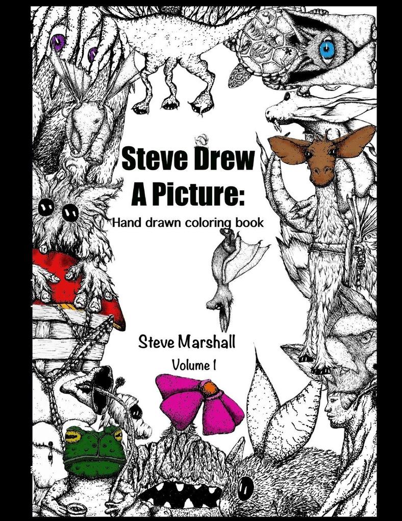 Steve Drew a Picture