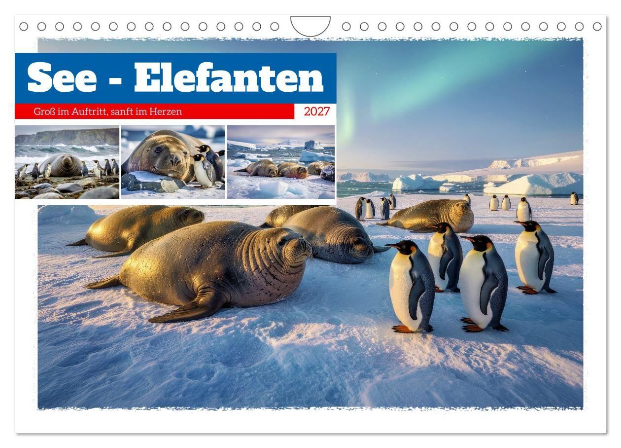 See - Elefanten (Wandkalender 2027 DIN A4 quer) CALVENDO Monatskalender