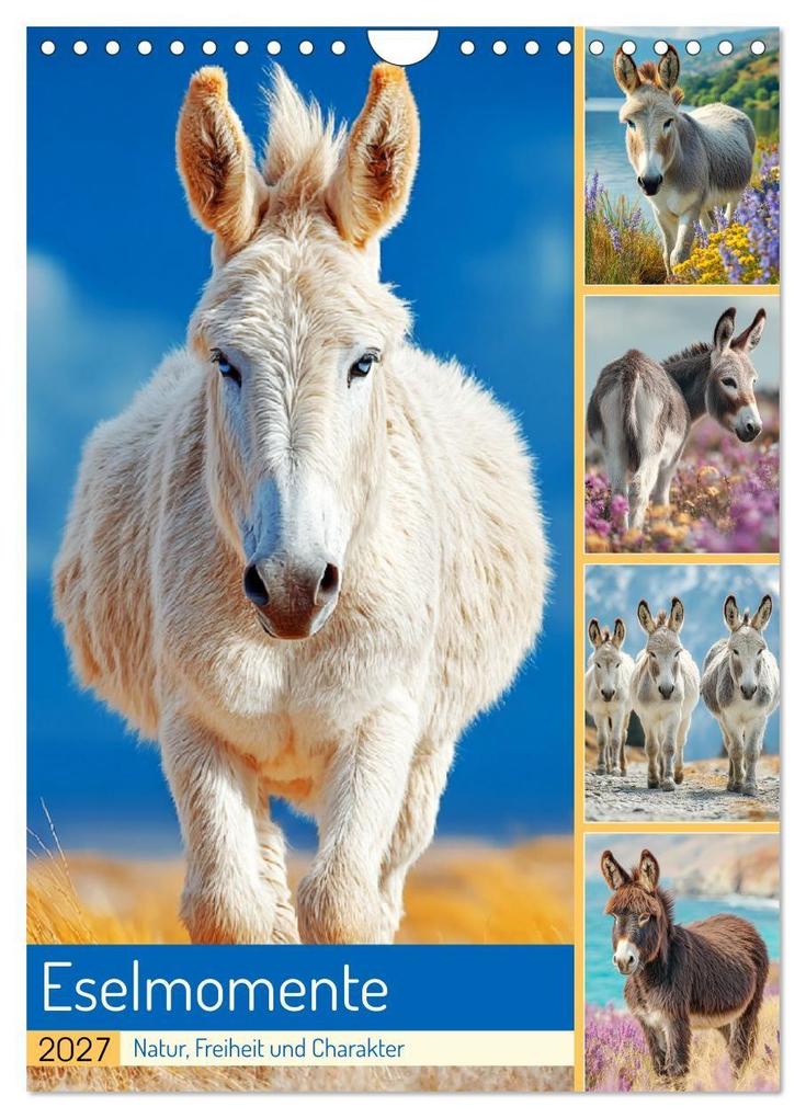 Eselmomente. Natur Freiheit und Charakter (Wandkalender 2027 DIN A4 hoch) CALVENDO Monatskalender
